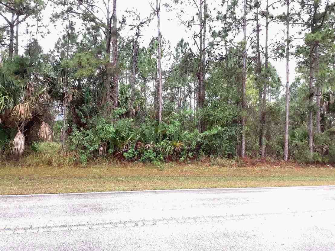 Palm Bay FL - Cogan Land 3