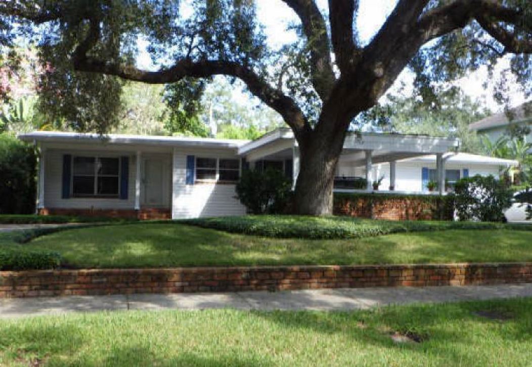 Tampa Florida - Cul1