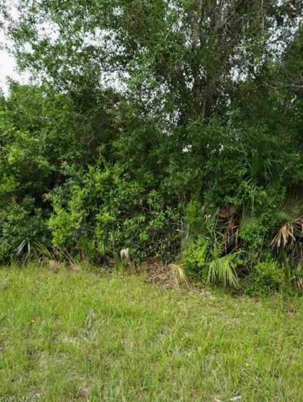 Fort Myers Florida - Holt1