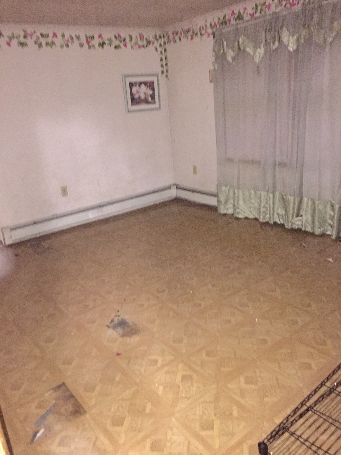 Baltimore Maryland   For - Img_9202 24 07 17 05 48 2