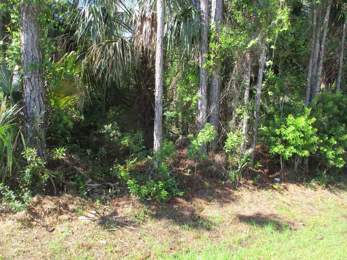 Palm Coast Florida Cash Out - Slumb1 3