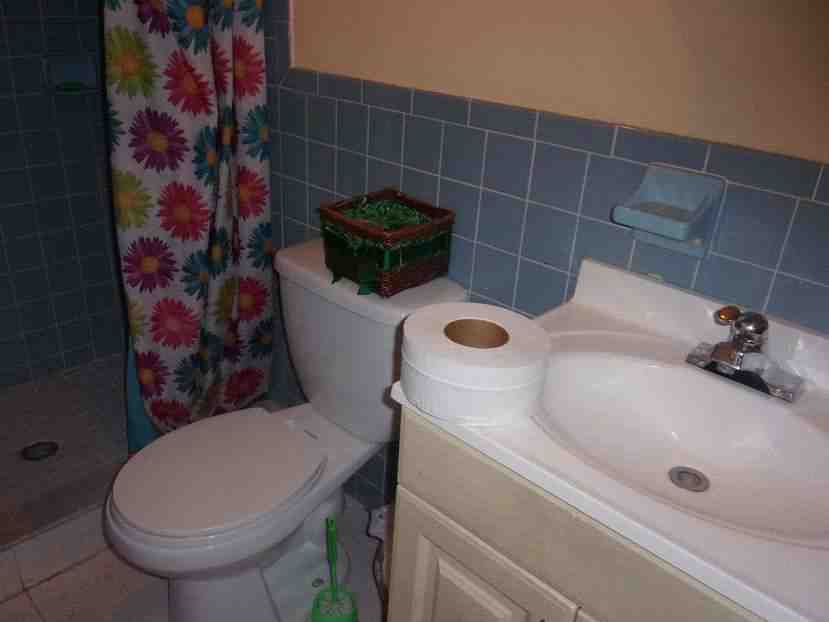 In Elmont NY - In Elmont Ny Bathroom 6 12