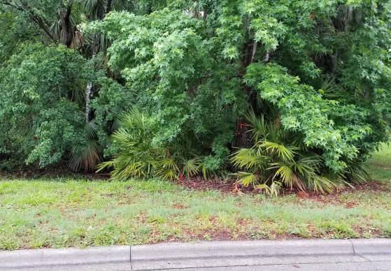 Sanford Florida   For - Sanford Florida For Front 4 8